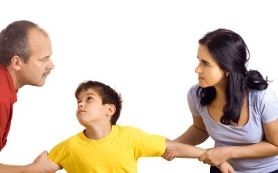 What to Know When Choosing a Child Custody Attorney in Lutz FL