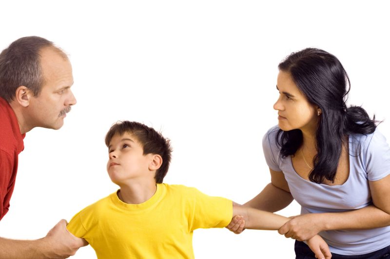 What to Know When Choosing a Child Custody Attorney in Lutz FL